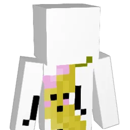 PerfectReality__ Minecraft avatar bust