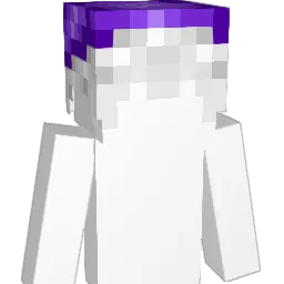 Perfector's Minecraft skin