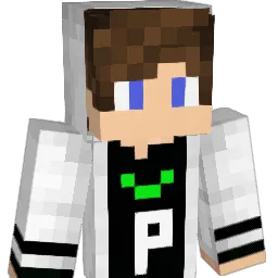 PernikCZE Minecraft avatar bust