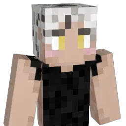 Perromcu Minecraft avatar bust