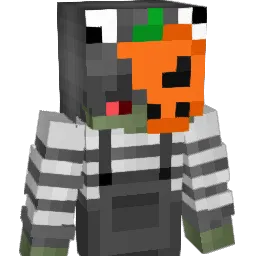 Perry007_ Minecraft avatar bust