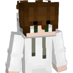 Perry_Johnson Minecraft avatar bust