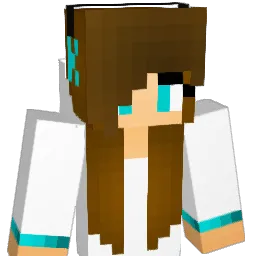 Person1234hi Minecraft avatar bust