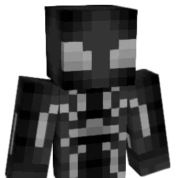 Persona_casuale Minecraft avatar bust