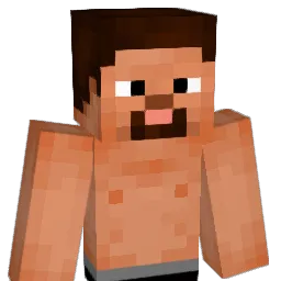 Pervertex Minecraft avatar bust