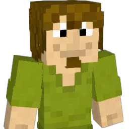 Petandcat Minecraft avatar bust