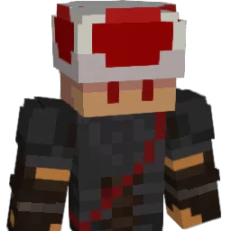 Petision Minecraft avatar bust