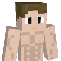 PetitCoquin42 Minecraft avatar bust