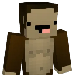 PetracoSuperTaco Minecraft avatar bust