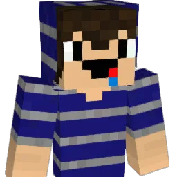 Petre1999 Minecraft avatar bust