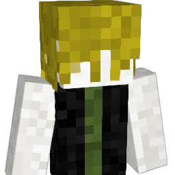 Petukka404 Minecraft avatar bust