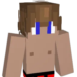 PgSena7 Minecraft avatar bust