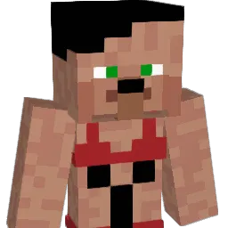 Ph4leX_ Minecraft avatar bust