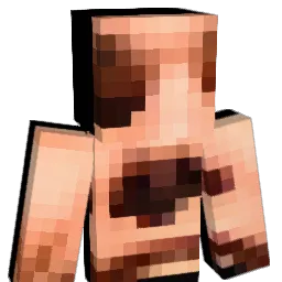PhilipsAirFryer Minecraft avatar bust