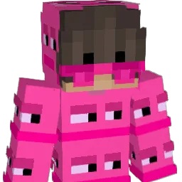 PhoenixIM