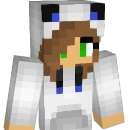 Phoubs_Panda08 Minecraft avatar bust