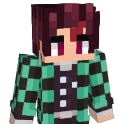 Physhi909 Minecraft avatar bust