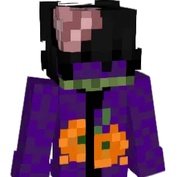 Pi4d1na2000 Minecraft avatar bust