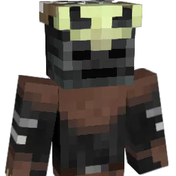 Pi__ Minecraft avatar bust