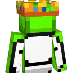 Picklezzzz89 Minecraft avatar bust