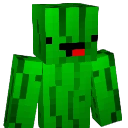 PiclesonPlayz69 Minecraft avatar bust
