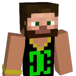 Pietr4S Minecraft avatar bust