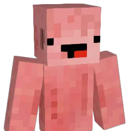 Pig_Wizard