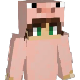 Pigalicious5 Minecraft avatar bust