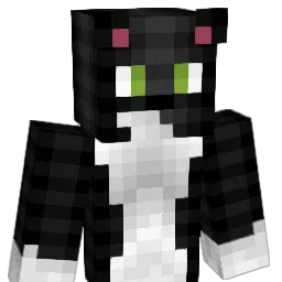 Pikalalachu Minecraft avatar bust
