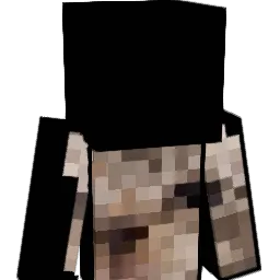 Pillowcase245