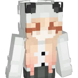 PinchEagle54730 Minecraft avatar bust