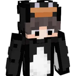 Pinciuc01's Minecraft skin