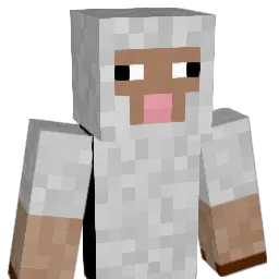 Pine1cy Minecraft avatar bust