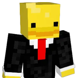 Pinjab Minecraft avatar bust