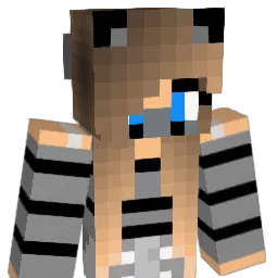 PinkNarwhals23 Minecraft avatar bust