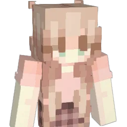 PinkShyGuy1 Minecraft avatar bust