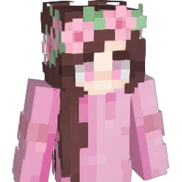 Pinkdisc Minecraft avatar bust