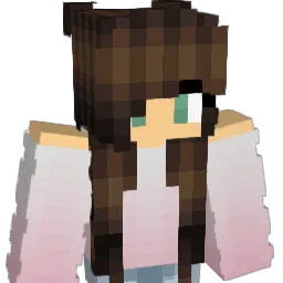 Pinkfrog5119 Minecraft avatar bust