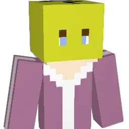 PinkuHenTights41 Minecraft avatar bust