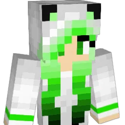 Pinselfuchs_ Minecraft avatar bust