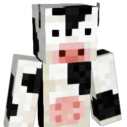 Pinwas Minecraft avatar bust