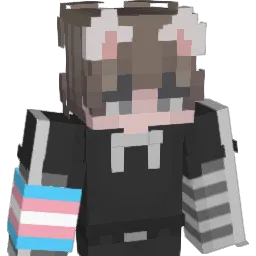 Pioes's Minecraft skin
