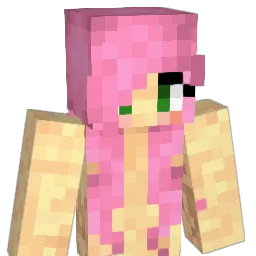Pipi2015 Minecraft avatar bust