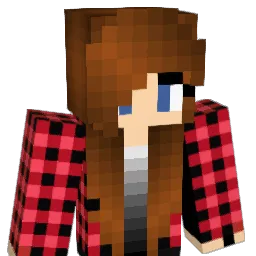 Piratenschatz Minecraft avatar bust