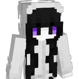 Pit41_ Minecraft avatar bust