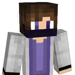 Pixardo Minecraft avatar bust