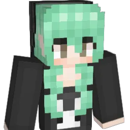 Pjae247 Minecraft avatar bust