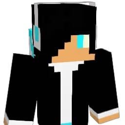 Pl1705 Minecraft avatar bust