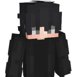 PlaceFM Minecraft avatar bust