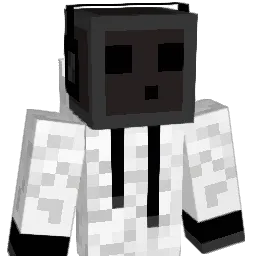 Plackin Minecraft avatar bust